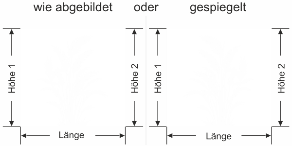 Preview: Sichtschutzfolie Goldfruchtpalme
