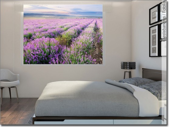 Preview: Lavendelfeld in der Provence