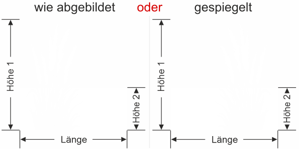 Preview: Sichtschutzfolie Pampasgras mit Wedel - Ansicht Ausrichtung mit Farbauswahl und Anleitung zur Größenberechnung - Vorschlag 1