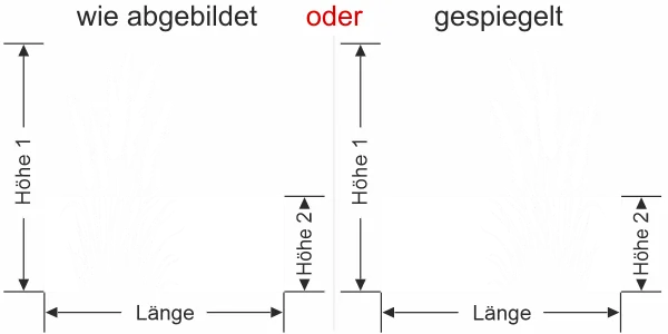 Sichtschutzfolie Pampasgras mit Wedel - Ansicht Ausrichtung mit Farbauswahl und Anleitung zur Größenberechnung - Vorschlag 1