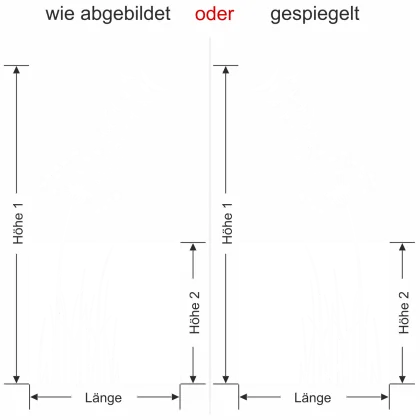 Sichtschutzfolie Glastür Pusteblume mit Vogelschwarm - Ansicht Ausrichtung und Farbauswahl