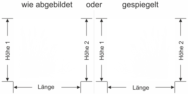 Preview: Sichtschutzfolie Schilfgras am Seeufer