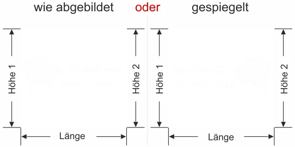 Sichtschutzfolie mit Wunschtext für Tierarzt - Ansicht Ausrichtung mit Farbauswahl Vorschlag 2