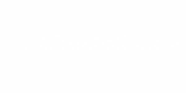 Preview: Car Tattoo Street Fighter