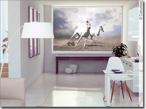 Preview: Tiermotiv Wild Horses