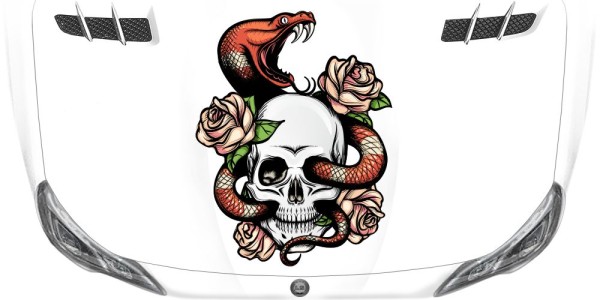 Preview: Totenkopf und Schlange Autodesign