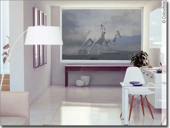 Preview: Tiermotiv Wild Horses