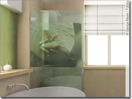 Preview: Fensterbild Frosch