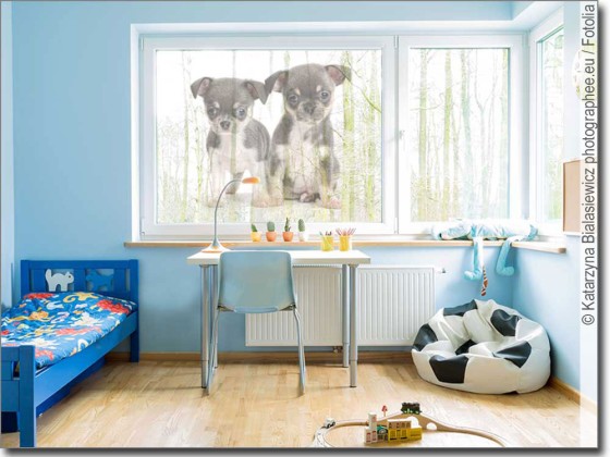 Preview: Fensterfolie Chihuahua Babys Preview: Fensterfolie Chihuahua Babys