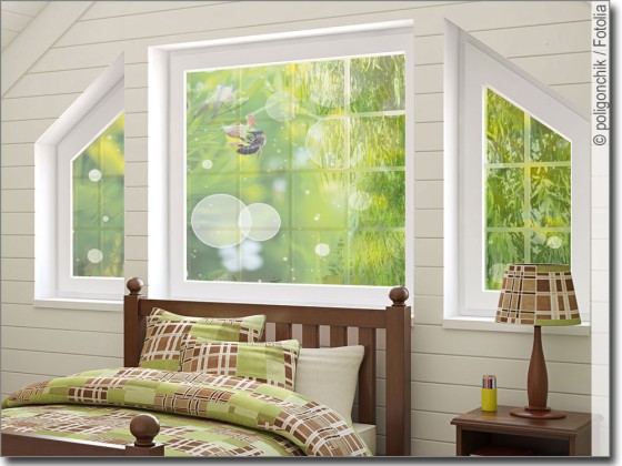 Preview: Foto auf Glas mit Biene