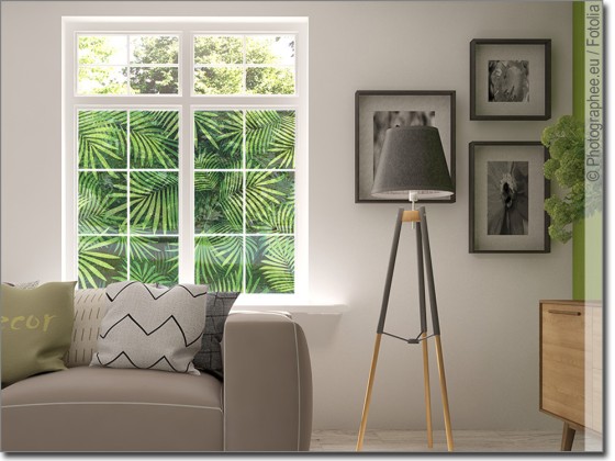 Preview: Tropical Sichtschutzfolie