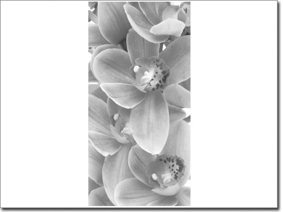 Preview: Türposter Orchidee