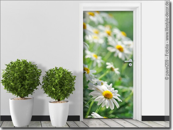 Preview: Türfolie Margeriten