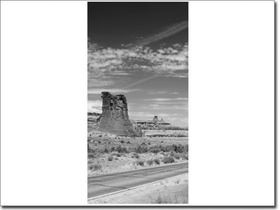 Preview: Türtattoo Arizona USA Preview: Türtattoo Arizona USA