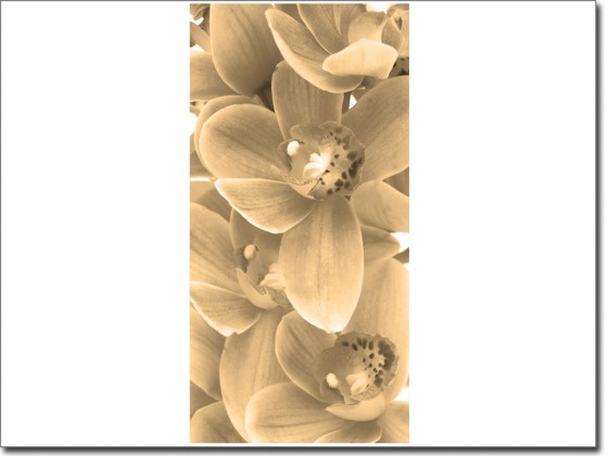 Preview: Türposter Orchidee