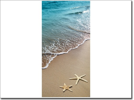 Preview: Türtattoo Seesterne am Strand