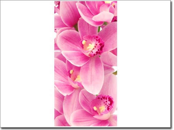 Preview: Türposter Orchidee
