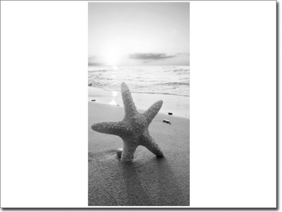 Preview: Türtapete Seestern Preview: Türtapete Seestern