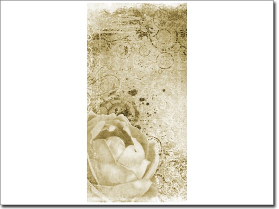 Preview: Türposter Rose selbstklebend