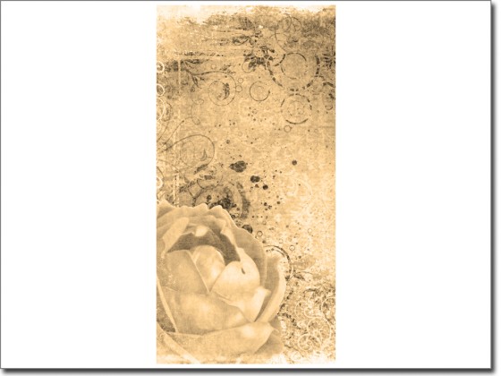 Preview: Türposter Rose selbstklebend