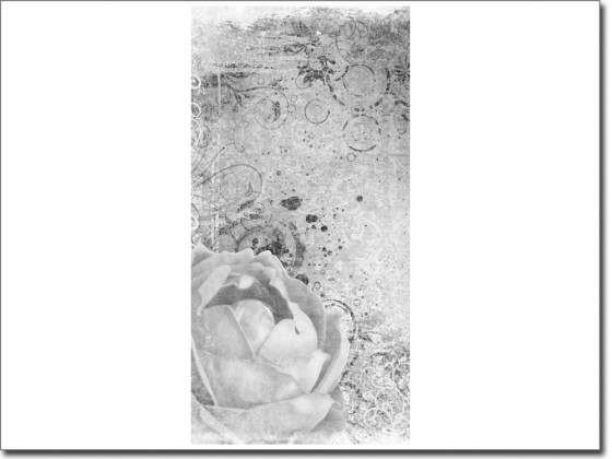 Preview: Türposter Rose selbstklebend