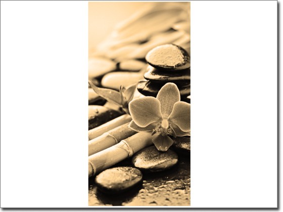 Preview: Türaufkleber Wellness Preview: Türaufkleber Wellness