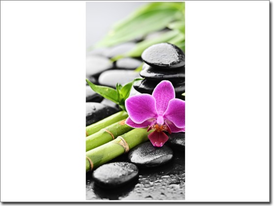 Preview: Türaufkleber Wellness Preview: Türaufkleber Wellness