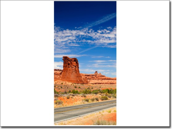 Preview: Türtattoo Arizona USA Preview: Türtattoo Arizona USA