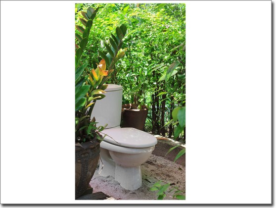 Preview: Türposter Gartentoilette