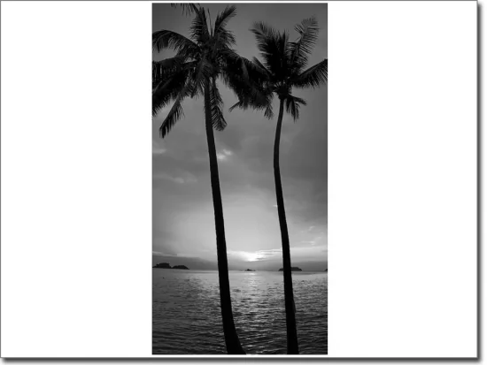 Türposter Palmen am Strand