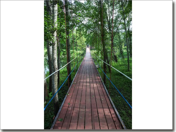 Preview: Türposter Steg durch den Wald Preview: Türposter Steg durch den Wald