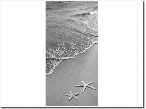 Preview: Türtattoo Seesterne am Strand