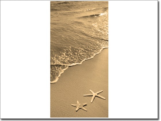 Preview: Türtattoo Seesterne am Strand