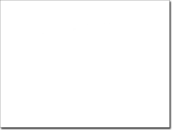 Wandtattoo Savannenbaum