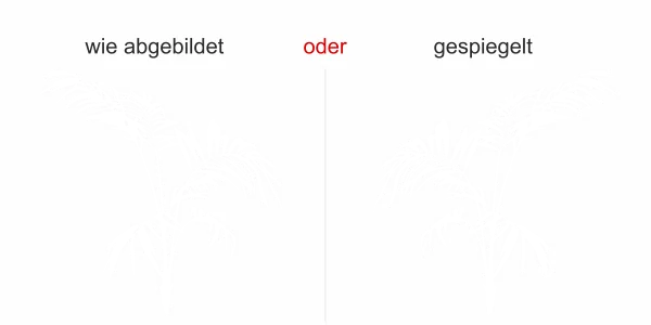 Wandtattoo mit Palmenfächer - Ansicht Ausrichtung und Farbauswahl