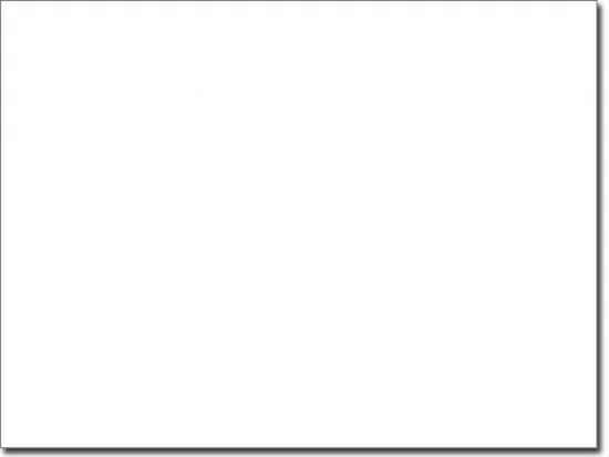 Wandtattoo Palmenfächer