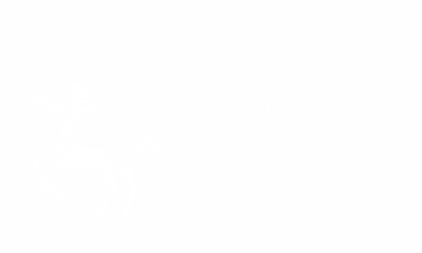 Preview: Wandaufkleber Sternzeichen Schütze