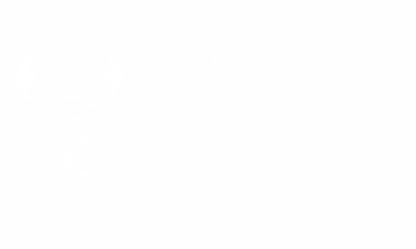 Preview: Wandaufkleber Sternzeichen Skorpion