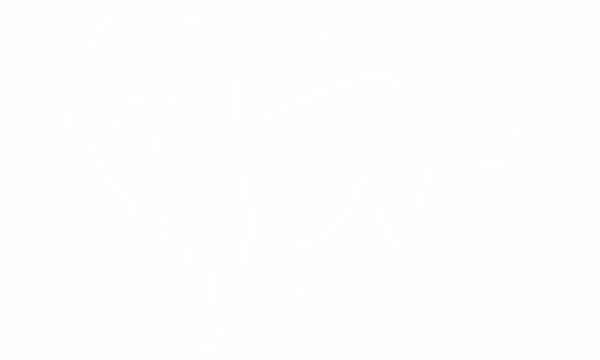 Preview: Wandtattoo Sternzeichen Löwe