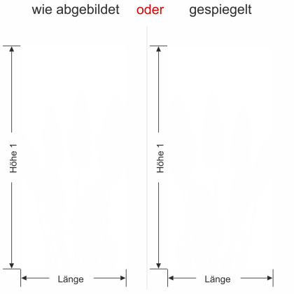Preview: Wandbanner mit Pampasgras - Ansicht Ausrichtung und Farbauswahl