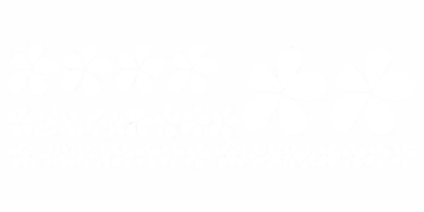 Wandtattoo Set mit Deko Blumen - Ansicht Farbauswahl