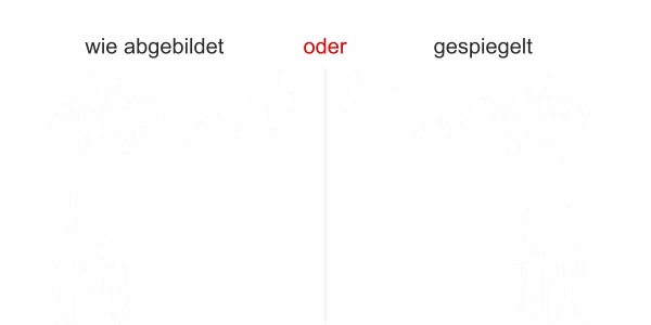 Wandtattoo mit Löwenzahn - Ansicht Ausrichtung und Farbauswahl