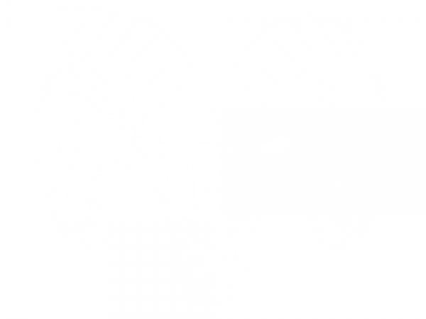 Preview: Wandtattoo Geometrischer Widder Preview: Wandtattoo Geometrischer Widder