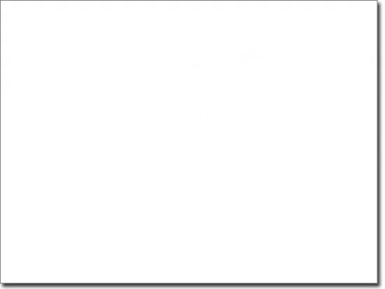 Wandtattoo Wave Rider