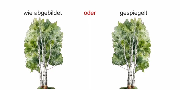 Wandtattoo Birke - Ansicht Ausrichtung