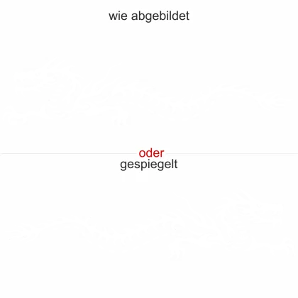 Wandtattoo mit tollem Drachen - Ansicht Ausrichtung mit Farbauswahl