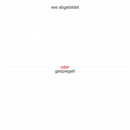 Preview: Wandaufkleber Vögel auf Ast - Ansicht Ausrichtung und Farbauswahl
