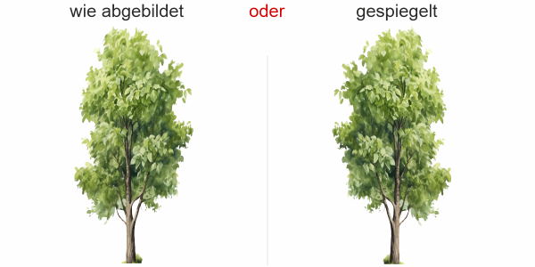 Preview: Wandtattoo Laubbaum - Ansicht Ausrichtung