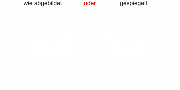 Preview: Wandtattoo mit Pferd - Ansicht Ausrichtung mit Farbauswahl