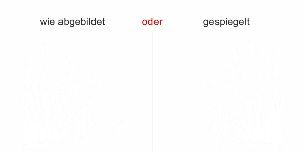 Wandtattoo Schilfgras am Seeufer - Ansicht Ausrichtung mit Farbauswahl